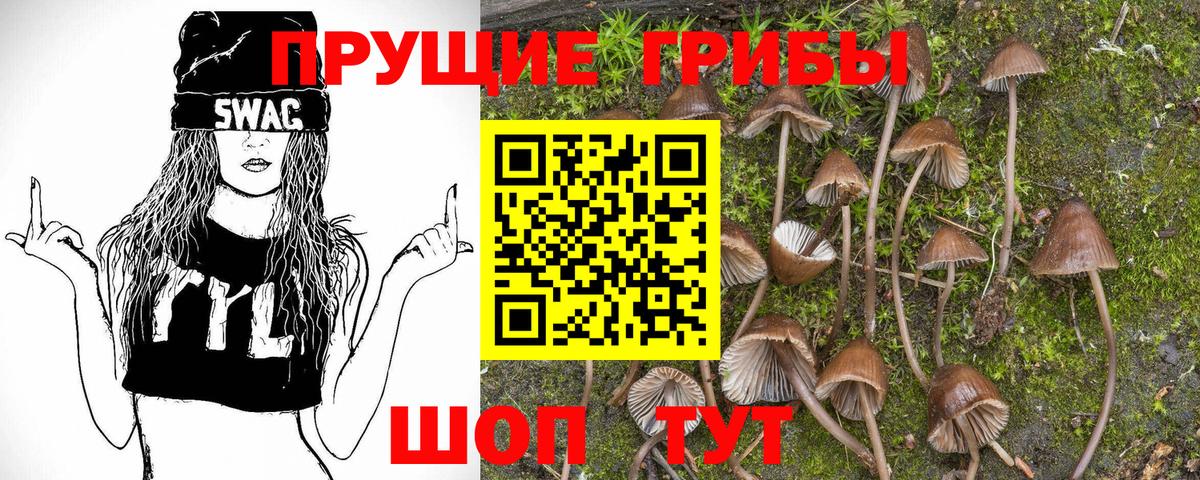 купить закладку  Галлюциногенные грибы GOLDEN TEACHER  Вход с VPN  Ханты-Мансийск 
